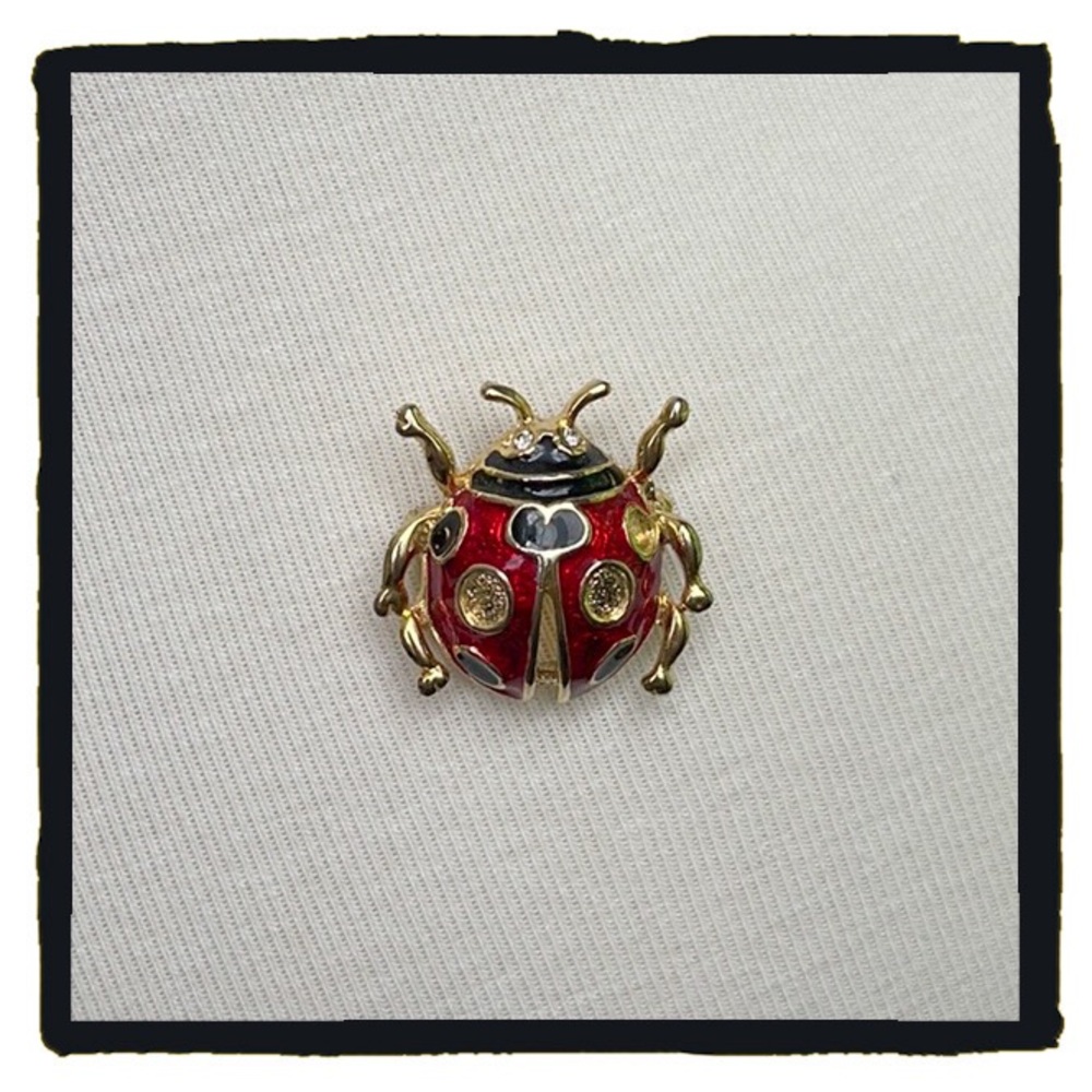 💕Beautiful Enamel Ladybug Pin💕 - Picture 2 of 5